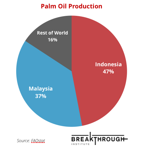 Palm Oil Deforestation: How To Minimize Negative Effects