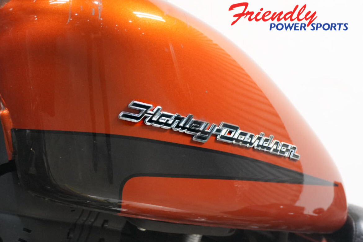 2020 HARLEY-DAVIDSON SPORTSTER IRON 883