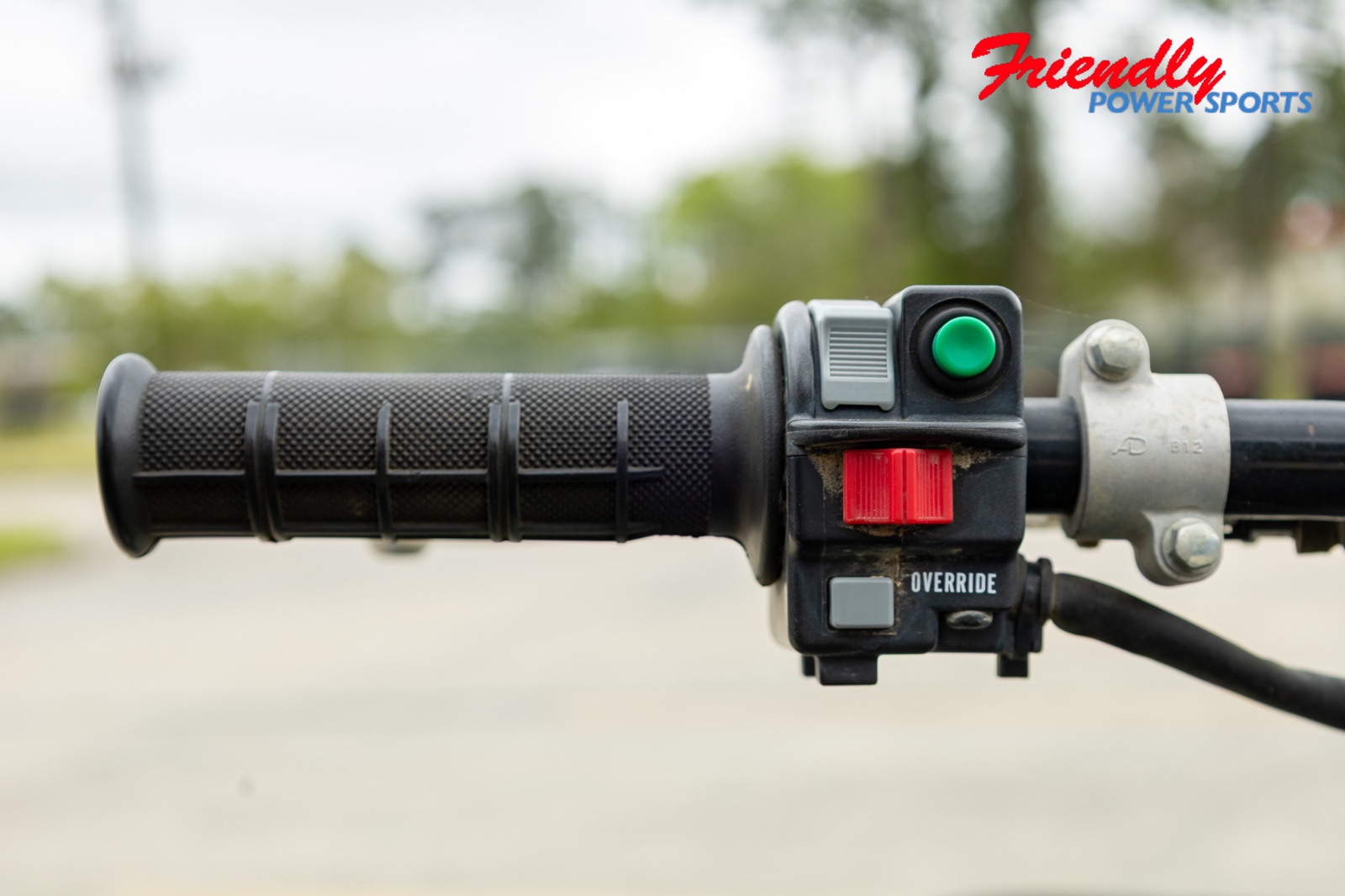 2024 YAMAHA Kodiak 450 EPS