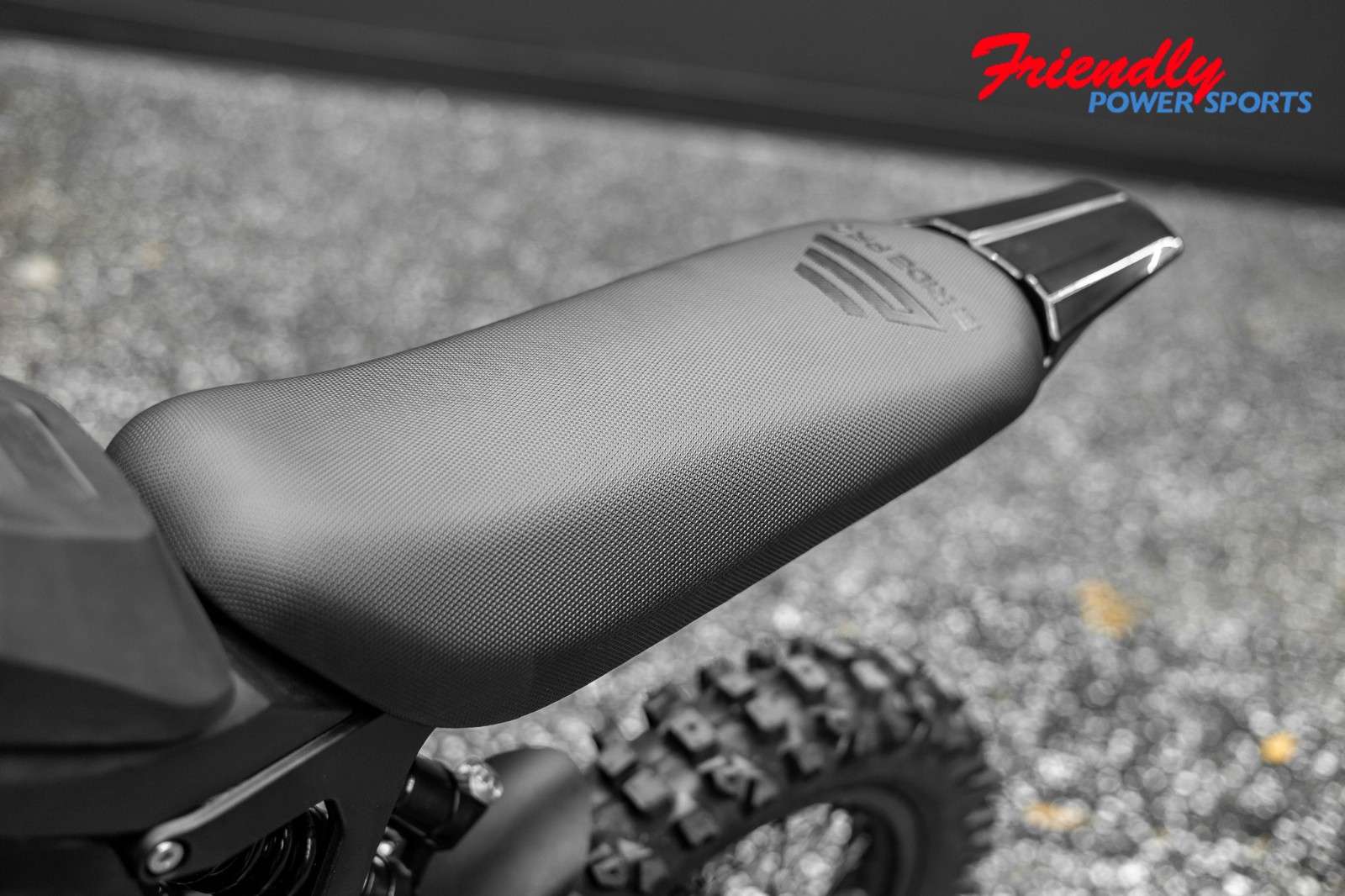 2026 E-RIDE PRO MINI R
