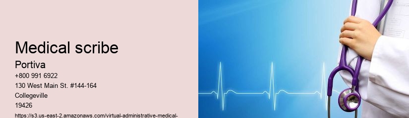medical scribe