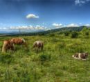 20120802 Appalachian Trail Jb232 1