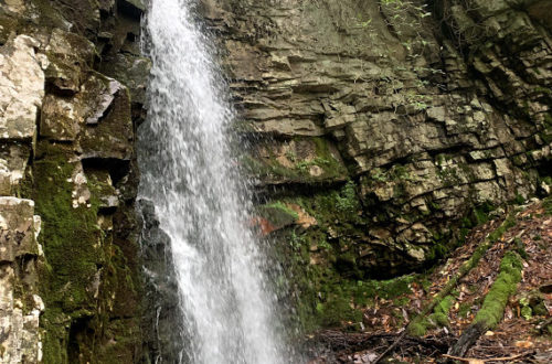 Gentry Falls