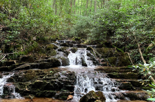 Small Waterfall Gentry Falls