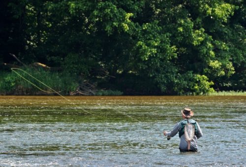 Abingdon Virginia An Overview Of The Fly Fishing Scene In Southwest