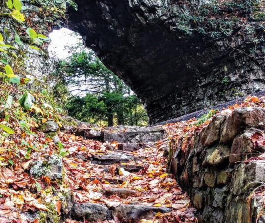 Backbone-rock-stairs-in-fall-credit-Chad-Mc Glamery