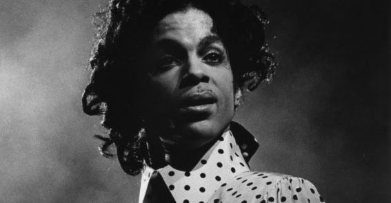 Prince Material World Photographs From The 80S William King Museum Of Art