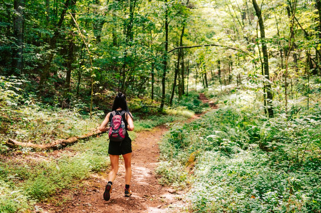 Your Guide to the Natchez Trace Parkway in Franklin, TN A hiker with a pink backpack follows a winding dirt path through a lush, green forest in Williamson County, Tennessee.