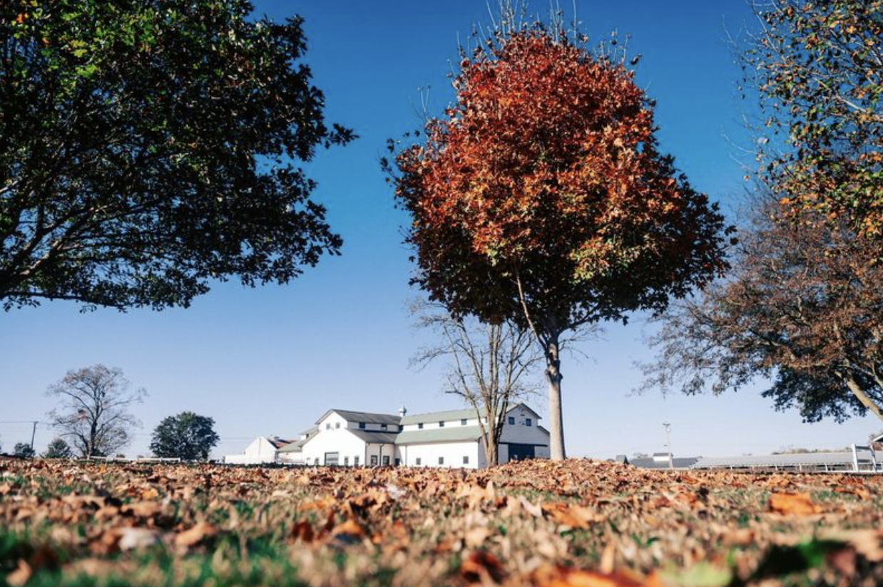 Free Franklin Fun: 6 Things To Do in Town That Don't Cost A Dime Free Franklin Fun: 6 Things To Do in Town That Don’t Cost A Dime