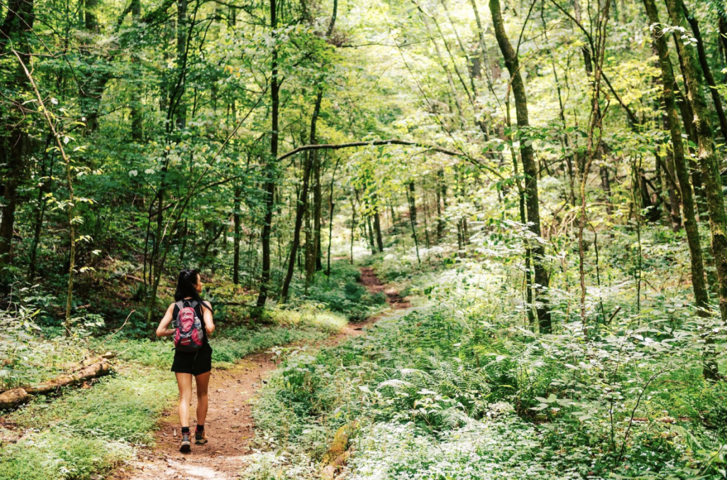 A woman with a backpack walks along a winding forest trail surrounded by lush greenery in Williamson County, Tennessee.