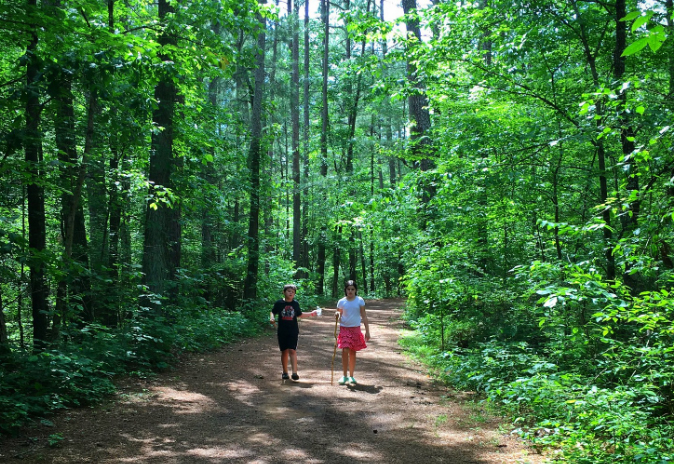 Two women hike along a forest trail, surrounded by lush greenery and tall trees in Williamson County, Tennessee.