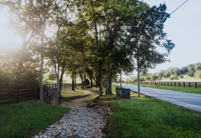 A serene country road lined with lush trees and a gravel ditch, bathed in sunlight in Williamson County, Tennessee.