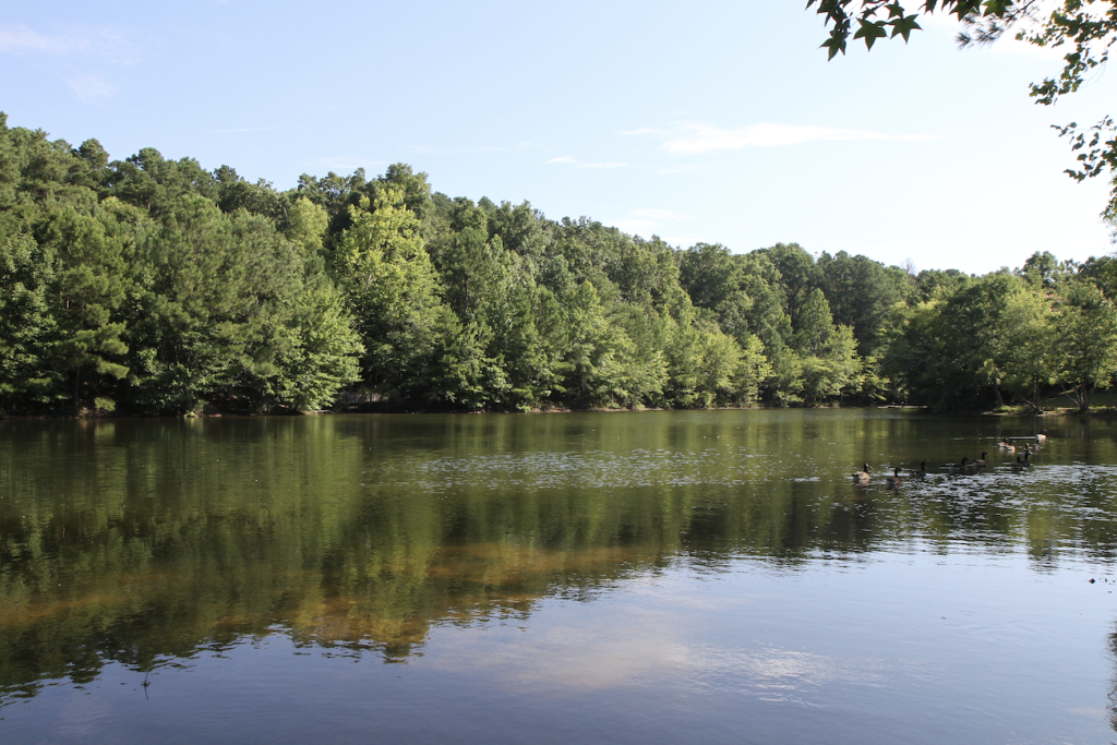 The History of Fairview's Bowie Nature Park Makes Visits Even More Fun A serene lake with ducks swimming, surrounded by lush green trees reflecting on the water in Williamson County, Tennessee.