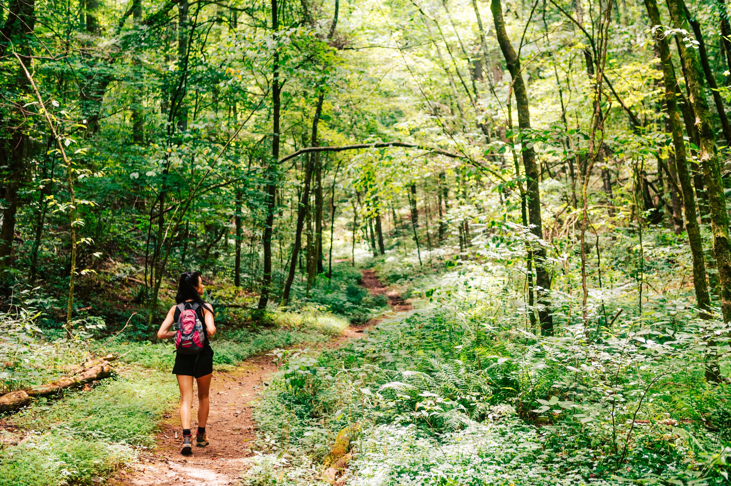 A woman with a backpack walks along a winding forest trail surrounded by lush greenery in Williamson County, Tennessee.
