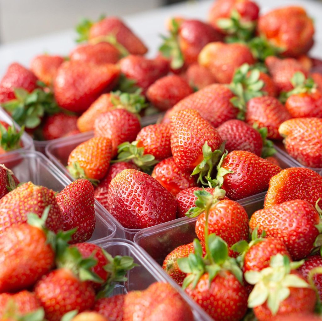 A vibrant display of fresh, ripe strawberries in clear plastic containers in Williamson County, Tennessee.