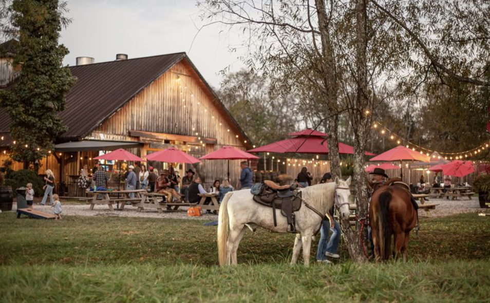 Perfect Pairings for Making the Most of Fall in Franklin A rustic barn with string lights hosts an outdoor gathering with people seated at picnic tables under red umbrellas, while horses graze nearby in Williamson County, Tennessee.