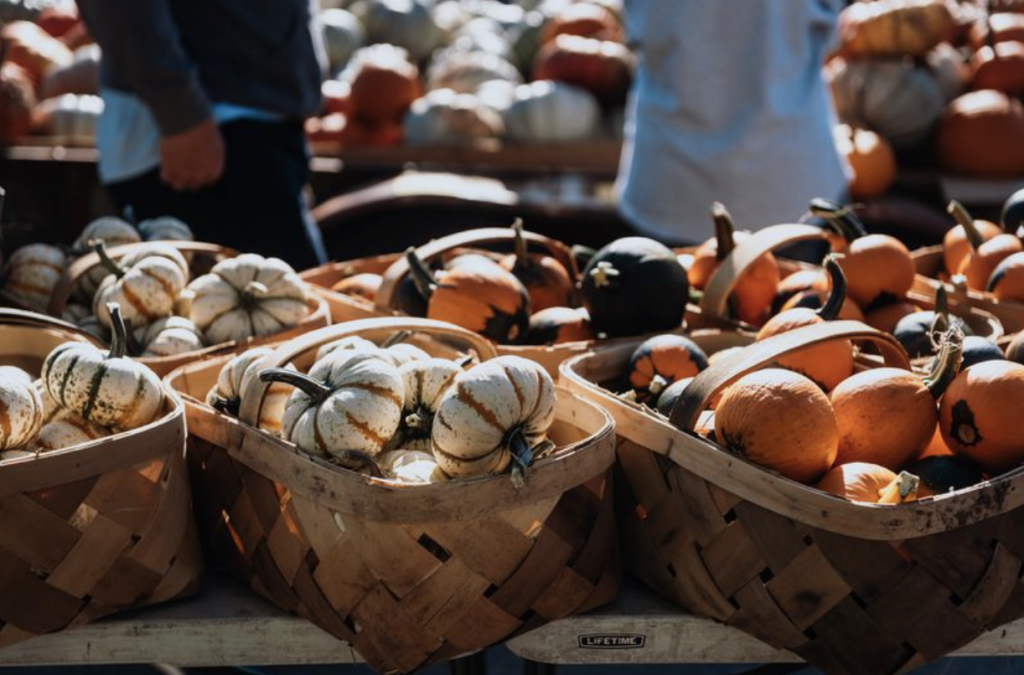 Perfect Pairings for Making the Most of Fall in Franklin A variety of colorful miniature pumpkins and gourds are displayed in woven baskets at a market in Williamson County, Tennessee.