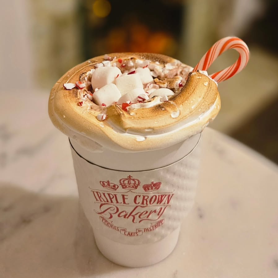 A festive mug of hot chocolate topped with marshmallows and candy cane, ready to enjoy in Williamson County, Tennessee.