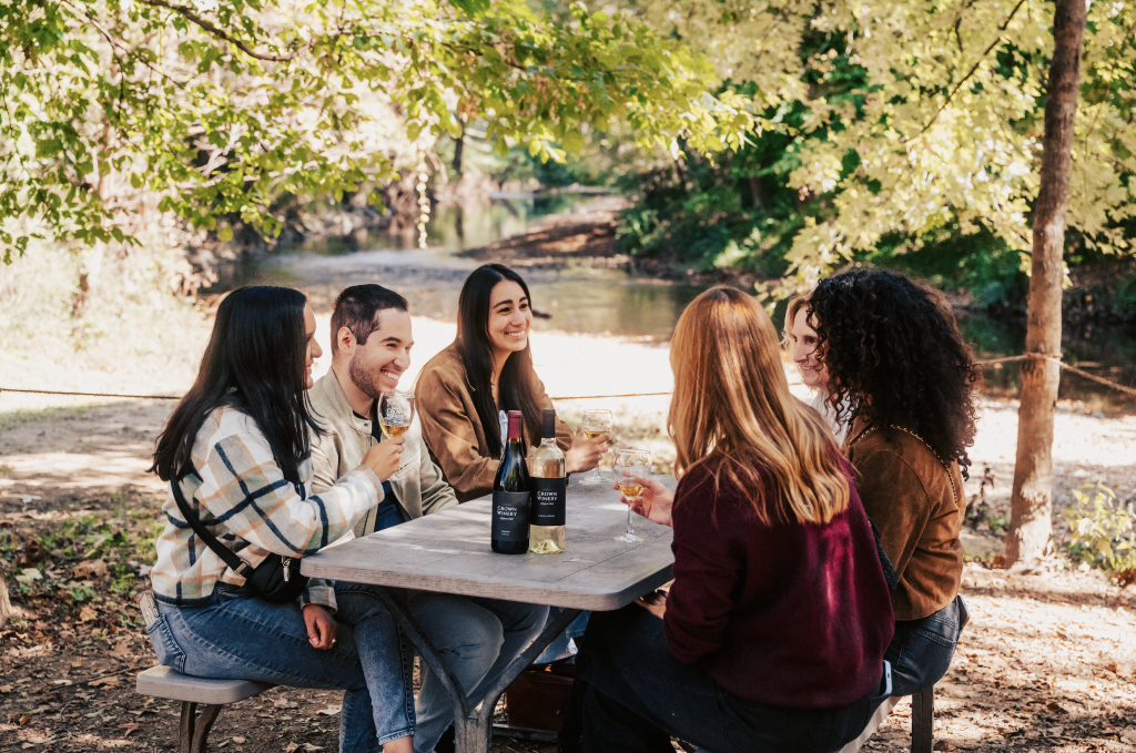 A group of six friends enjoys wine and conversation at a picnic table in a wooded area near a river in Williamson County, Tennessee.