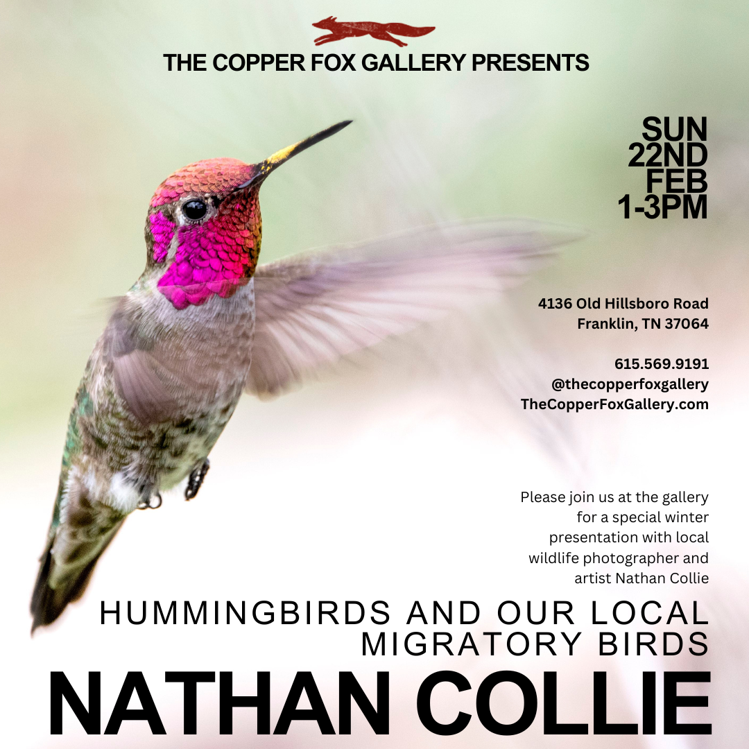 “Hummingbirds & Other Local Migratory Birds” Presentation with Nathan Collie