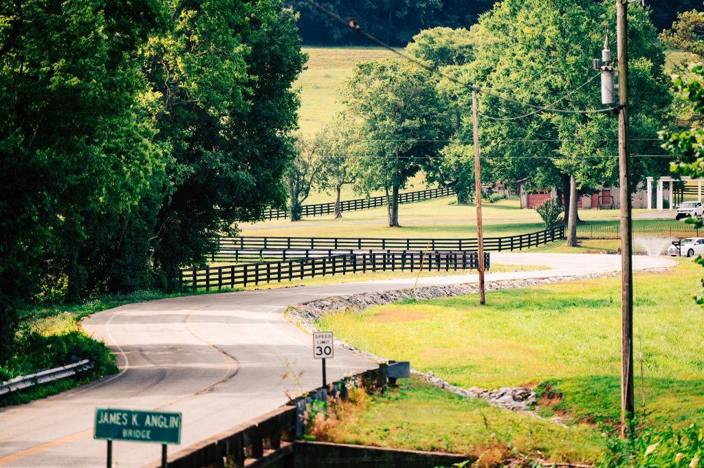 A winding country road curves through a lush, green landscape with a wooden fence and trees lining the sides in Williamson County, Tennessee.