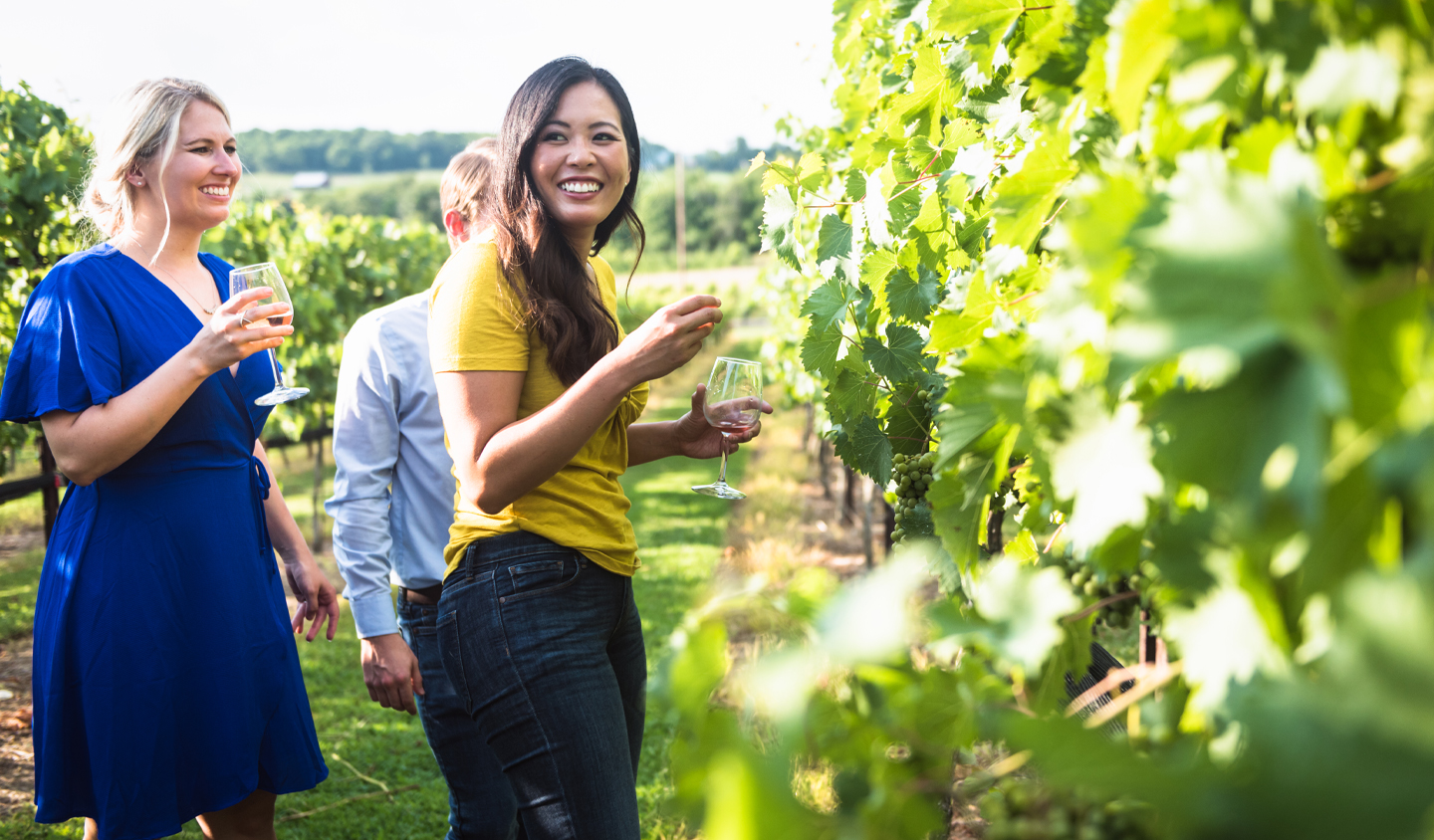 Three women and a man are walking through a lush vineyard, enjoying wine and the sunny day in Williamson County, Tennessee.