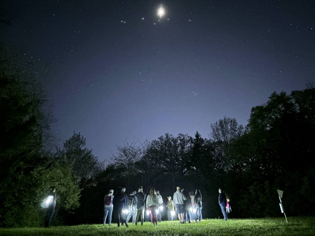 A group of people stand in a grassy field at night, illuminated by flashlights, gazing up at the starry sky and a bright moon in Williamson County, Tennessee.
