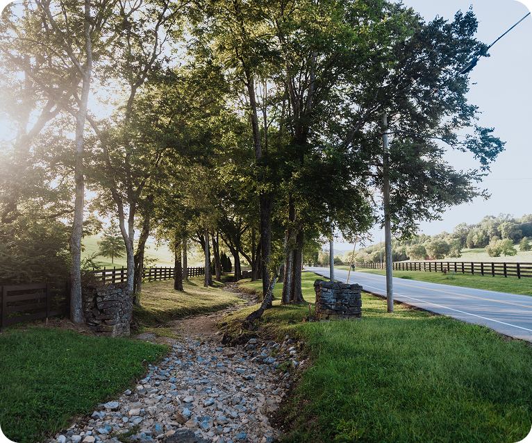 A serene country road lined with lush green trees and bordered by a stone wall and a wooden fence in Williamson County, Tennessee.