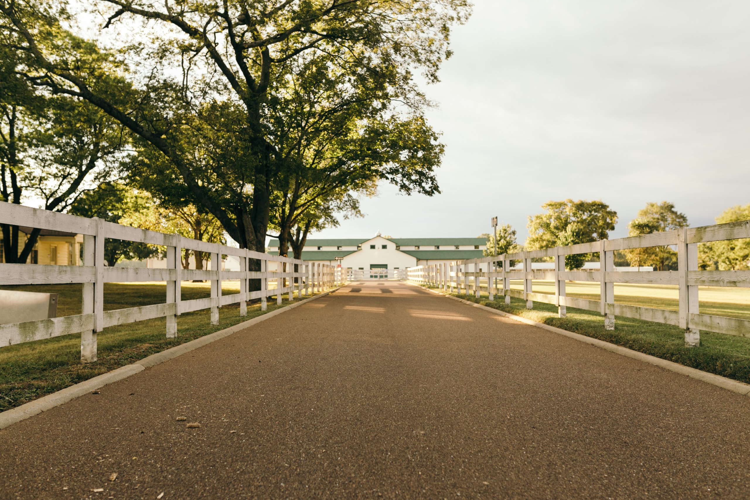 What's New & Coming A serene country road lined with white wooden fences leads towards a large white barn with a green roof, surrounded by lush green trees and fields in Williamson County, Tennessee.