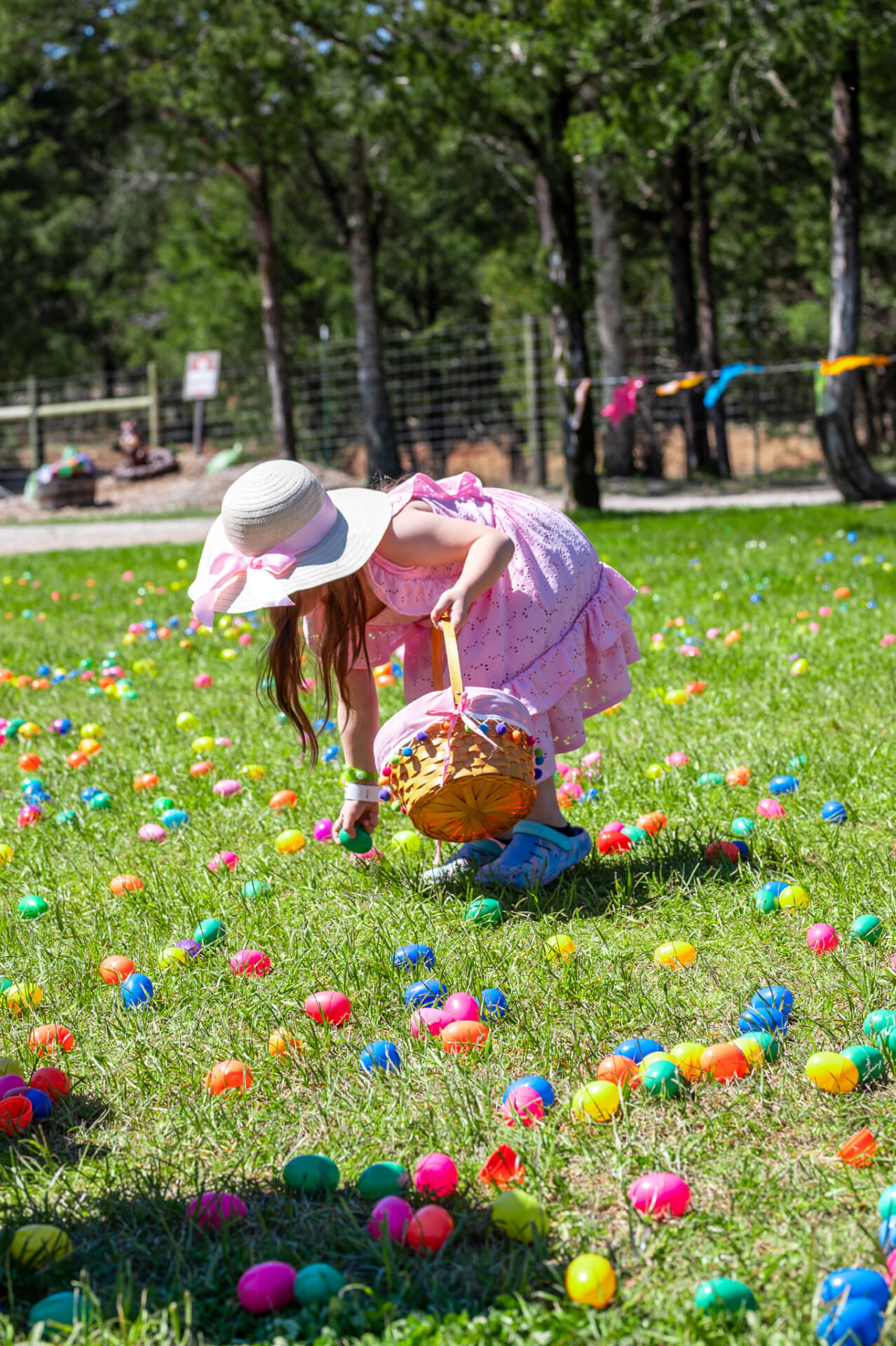 Easter Celebration: Egg Hunts with the Easter Bunny