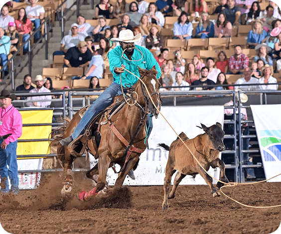 A skilled cowboy on horseback ropes a calf in a thrilling rodeo event, showcasing his expertise in front of an excited crowd in Williamson County, Tennessee.