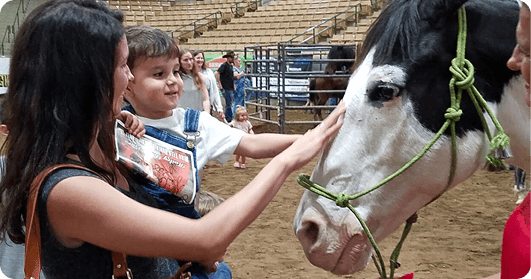 A woman and a child gently pet a black and white horse at a rodeo event in Williamson County, Tennessee.