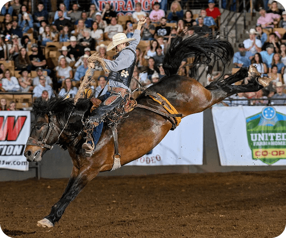 Cowboy performs daring mid-air maneuver on bucking bronco in front of cheering rodeo crowd in Williamson County, Tennessee.
