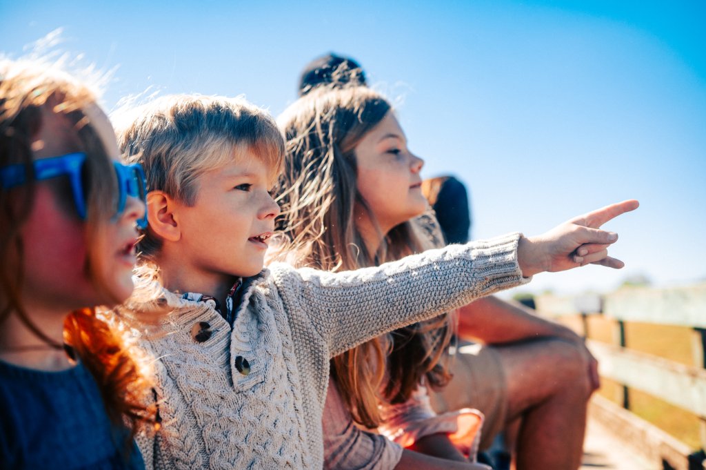 Three children, dressed in warm sweaters, sit on a wooden fence, pointing at something in the distance under a clear blue sky in Williamson County, Tennessee.