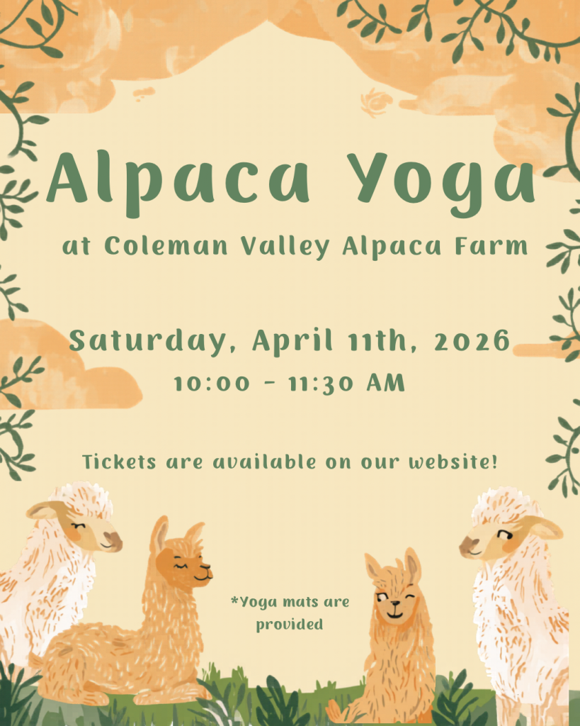 Alpaca Yoga
