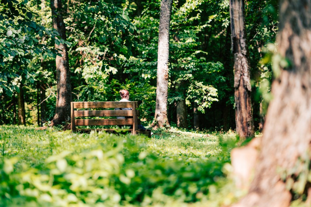 Plan the Perfect Reading Retreat in Franklin, TN with These Cozy Bookstores & Scenic Nooks A serene moment in a lush forest, where a solitary figure sits on a wooden bench, surrounded by towering trees and vibrant greenery in Williamson County, Tennessee.