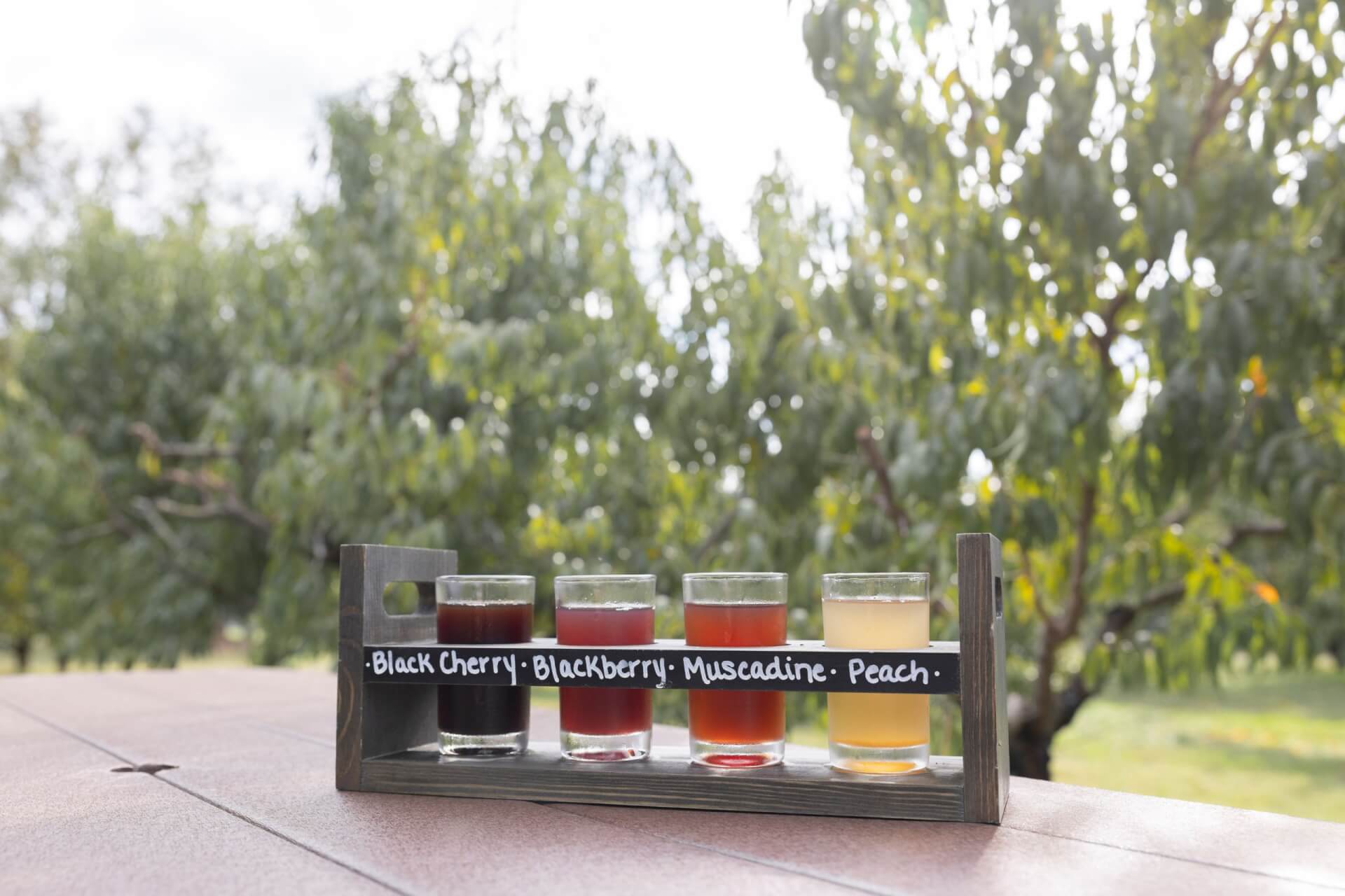 Guided Cider Tasting