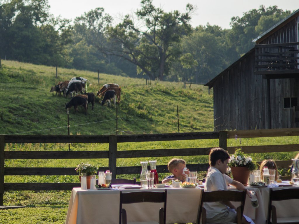 A family enjoys a picnic lunch at a wooden table in a lush green field, with a rustic barn and grazing cows in the background in Williamson County, Tennessee.