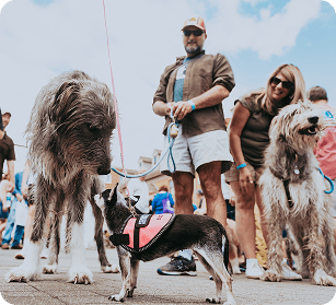 Bluegrass Along the Harpeth A group of people and their dogs gather at an outdoor event, with a large dog and a small dog interacting closely in Williamson County, Tennessee.