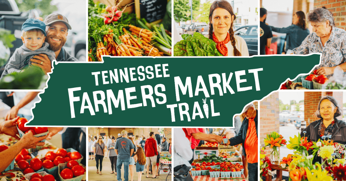 A vibrant farmers market scene with fresh produce, flowers, and community engagement in Tennessee in Williamson County, Tennessee.