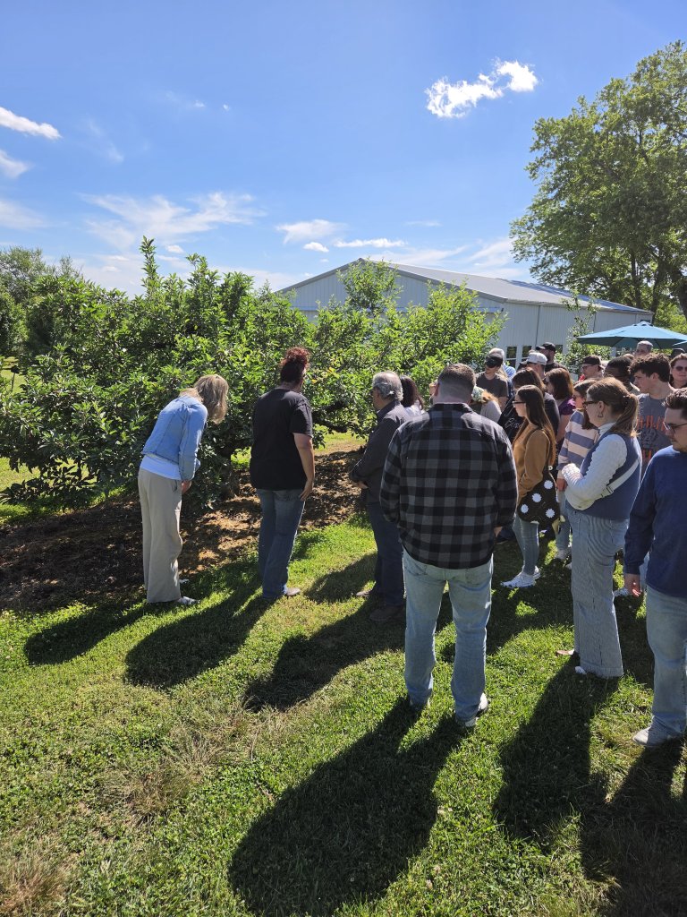 Events A group of people is gathered in an orchard, examining trees and fruit under a clear blue sky in Williamson County, Tennessee.
