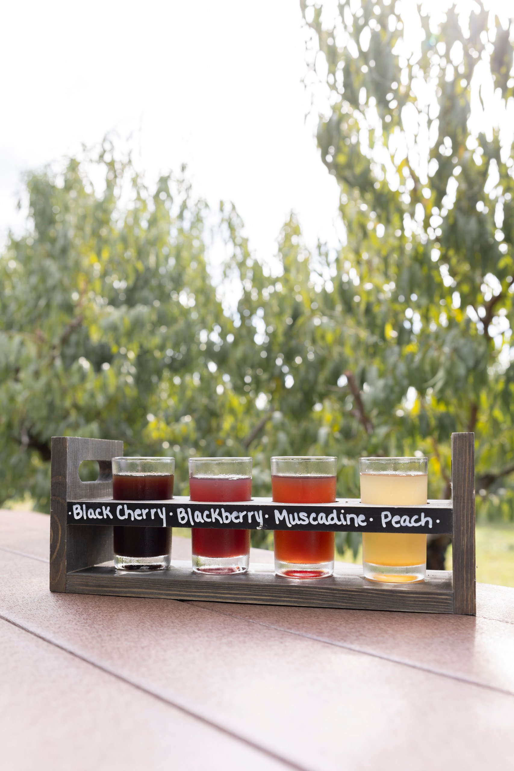 Guided Cider Tasting Guided Cider Tasting
