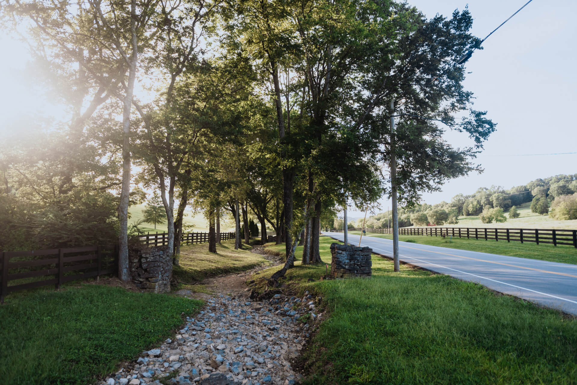 A serene country road winds through a lush, green landscape bordered by a wooden fence and lined with tall trees in Williamson County, Tennessee.