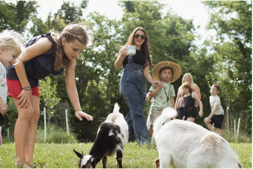 A group of children and adults are playing with goats in a lush, green field on a sunny day in Williamson County, Tennessee.