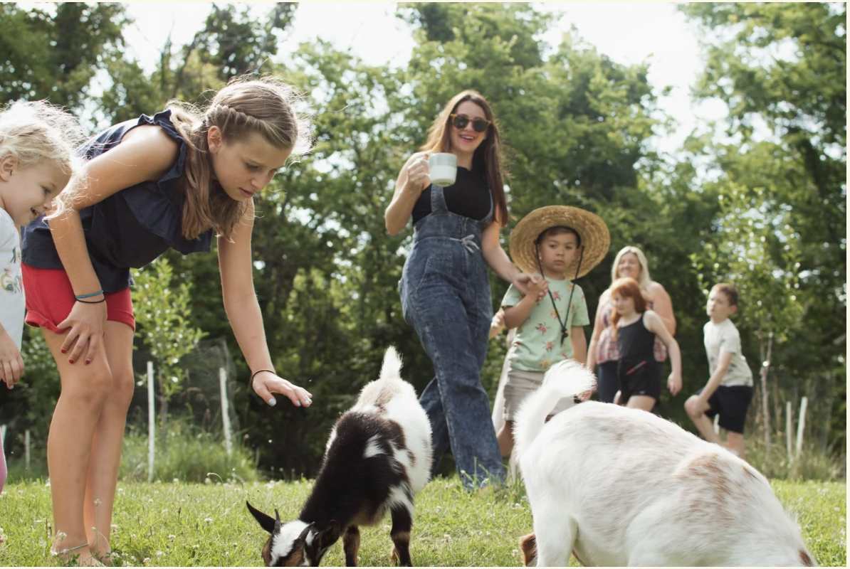 A group of children and adults are playing with goats in a lush, green field on a sunny day in Williamson County, Tennessee.