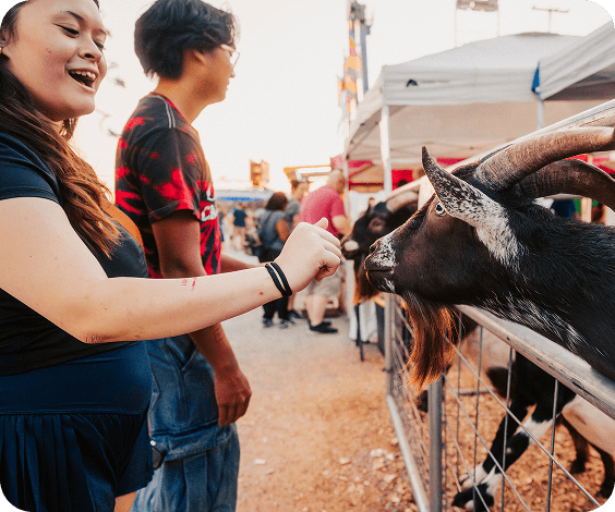 A woman and a man interact with a goat at a petting zoo, with the woman feeding the goat and smiling in Williamson County, Tennessee.