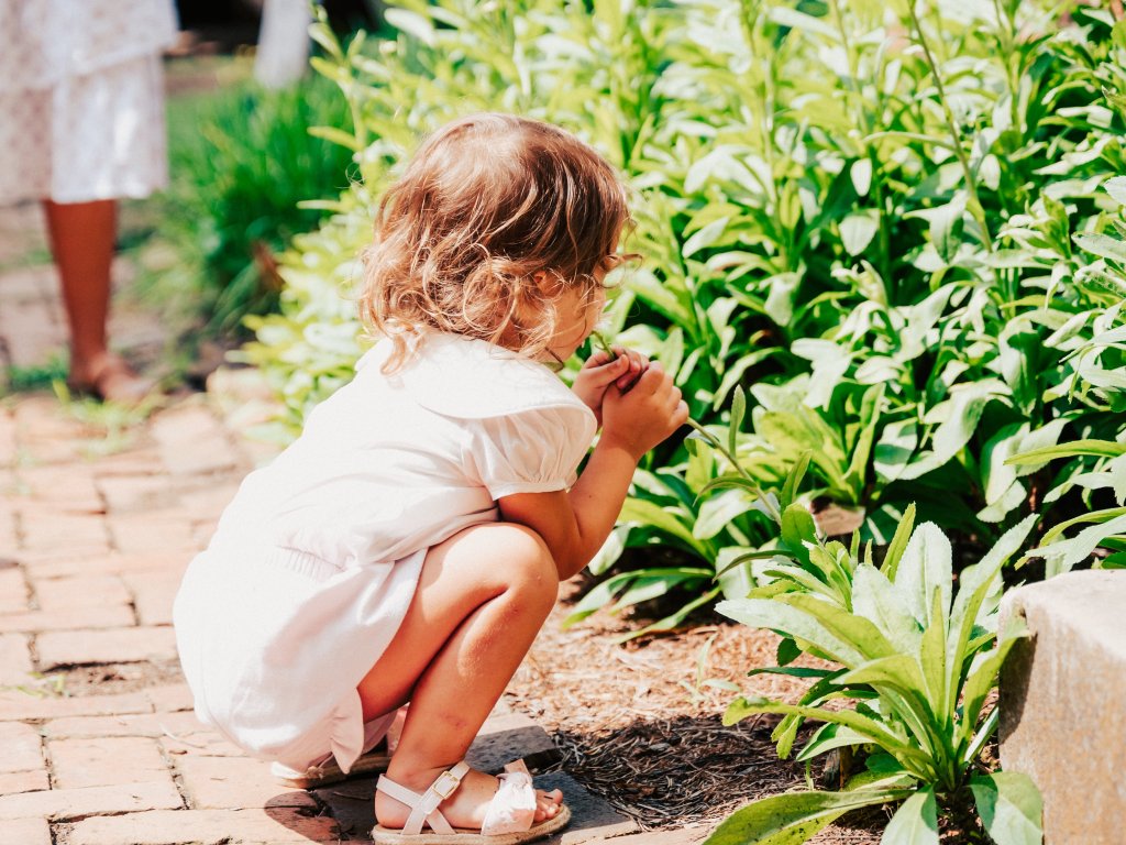 Your Best Summer Break Ever: Top Kid-Friendly Activities in Franklin, Tennessee A young child in a white dress is crouching on a brick path, intently examining a green plant in Williamson County, Tennessee.