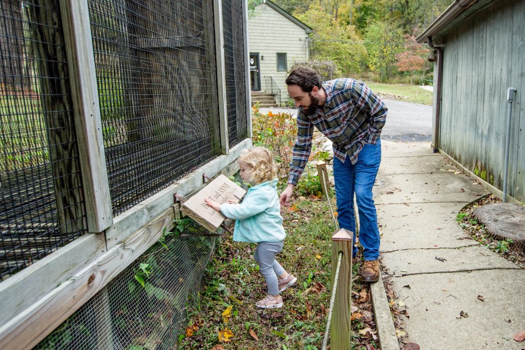 Your Best Summer Break Ever: Top Kid-Friendly Activities in Franklin, Tennessee A man and a young girl are placing a wooden box into a wire mesh enclosure on a garden path in Williamson County, Tennessee.