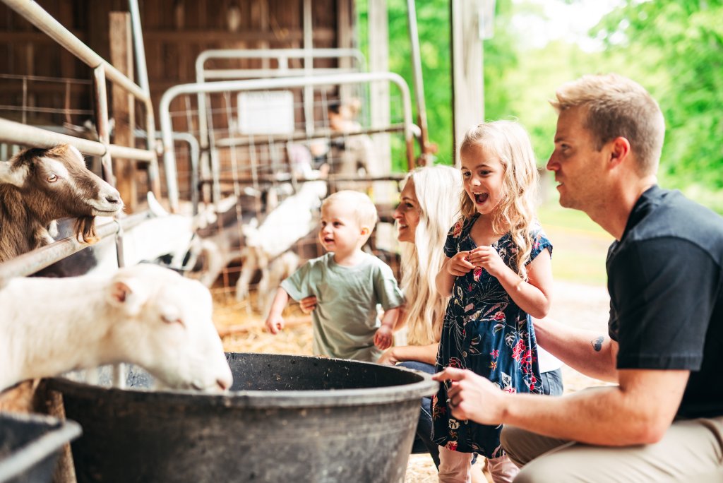 Your Best Summer Break Ever: Top Kid-Friendly Activities in Franklin, Tennessee A family enjoys a day at a goat farm, feeding and interacting with the animals in a sunny, outdoor setting in Williamson County, Tennessee.