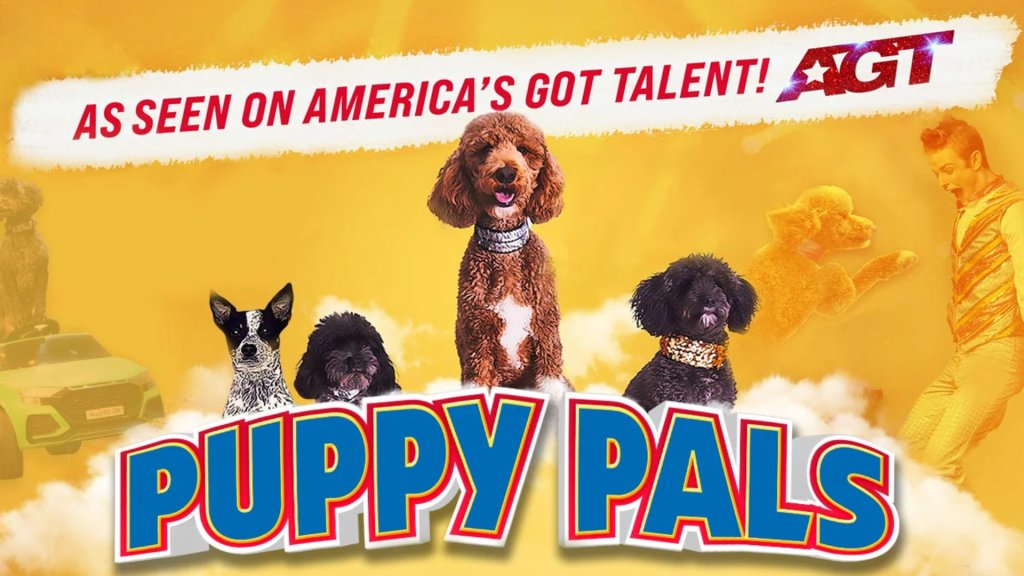 Puppy Pals LIVE Puppy Pals LIVE